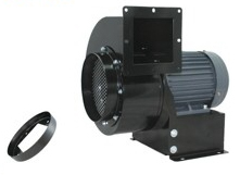 CY200